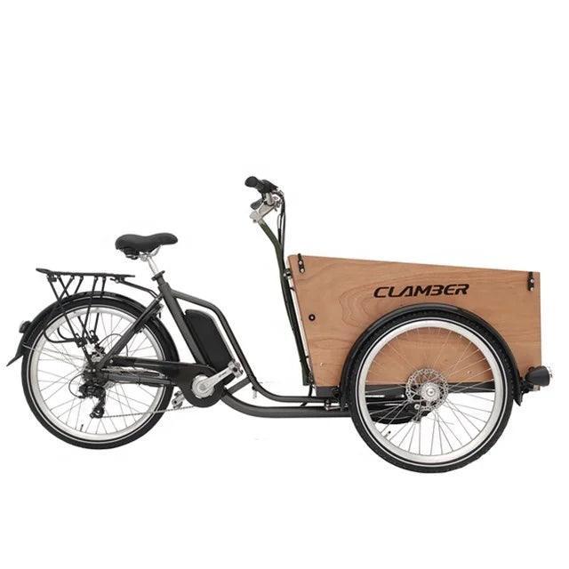 New hot selling Nanyang Family cargo tricycle electric cargo bike - VirtuousWares:Global