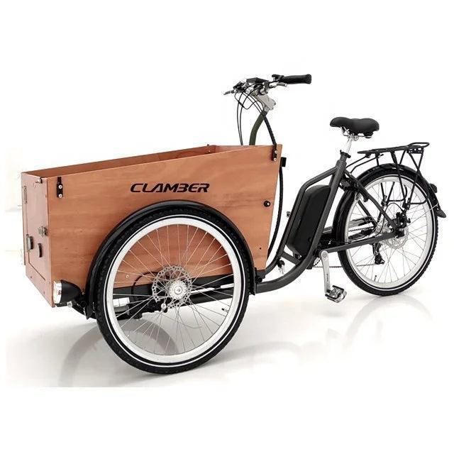 New hot selling Nanyang Family cargo tricycle electric cargo bike - VirtuousWares:Global