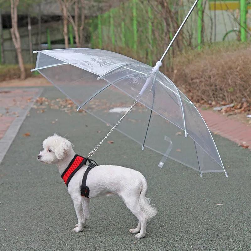 New Pet Umbrella Leash Rainproof Snowproof Dog Umbrella Leash for - VirtuousWares:Global