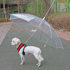 New Pet Umbrella Leash Rainproof Snowproof Dog Umbrella Leash for - VirtuousWares:Global