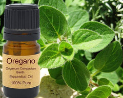Oregano Essential Oil Organic 15ml - VirtuousWares:Global