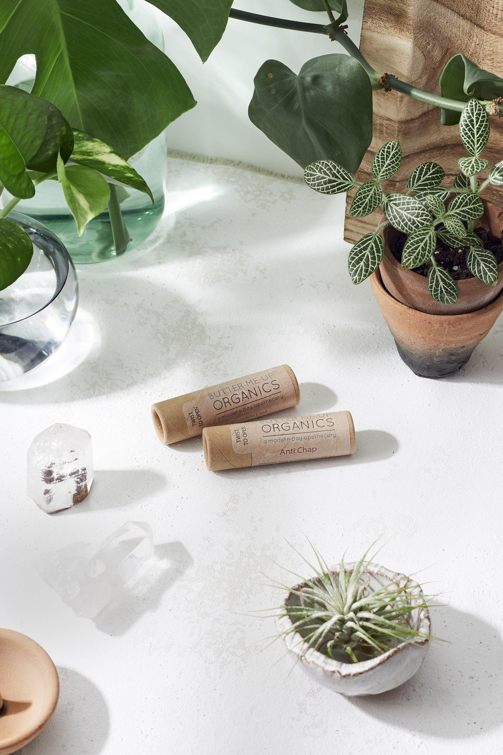 Organic Anti-Chap Lip Balm / Chapped Lips / Organic Lip Moisturizer / - VirtuousWares:Global