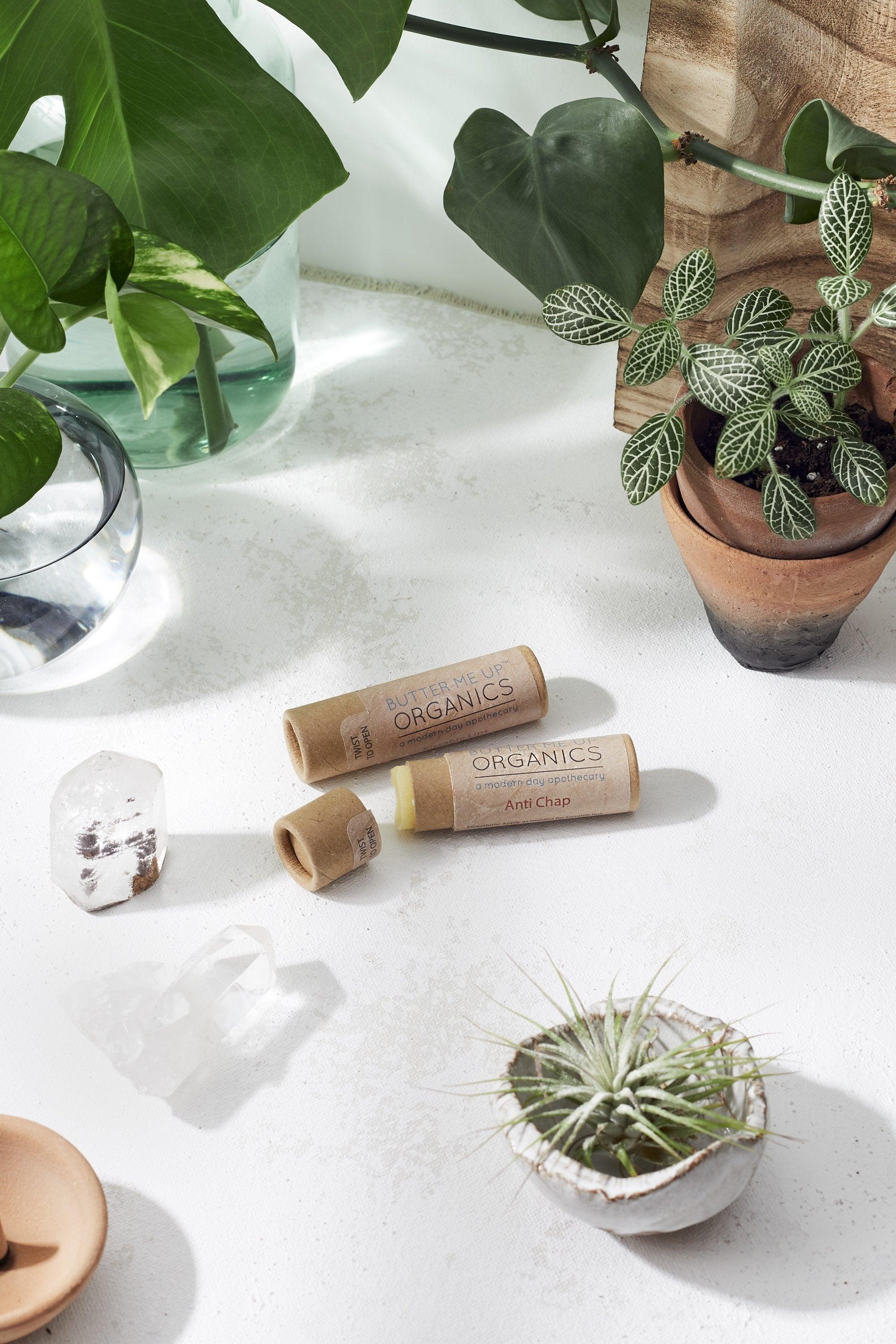 Organic Anti-Chap Lip Balm / Chapped Lips / Organic Lip Moisturizer / - VirtuousWares:Global