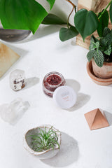 Organic Coconut Lip Scrub - VirtuousWares:Global