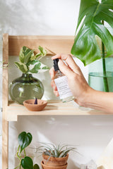 Organic Pillow Mist / Aromatherapy / Relaxing Essential Oils / Gentle - VirtuousWares:Global