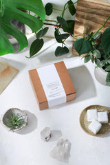 Organic Toilet Tabs / Antibacterial / Toilet Cleaning - VirtuousWares:Global