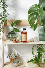 Organic Witch Hazel / Organic Facial Toner / Blemishes / Acne / - VirtuousWares:Global