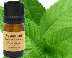 Peppermint Essential Oil 15ml - VirtuousWares:Global