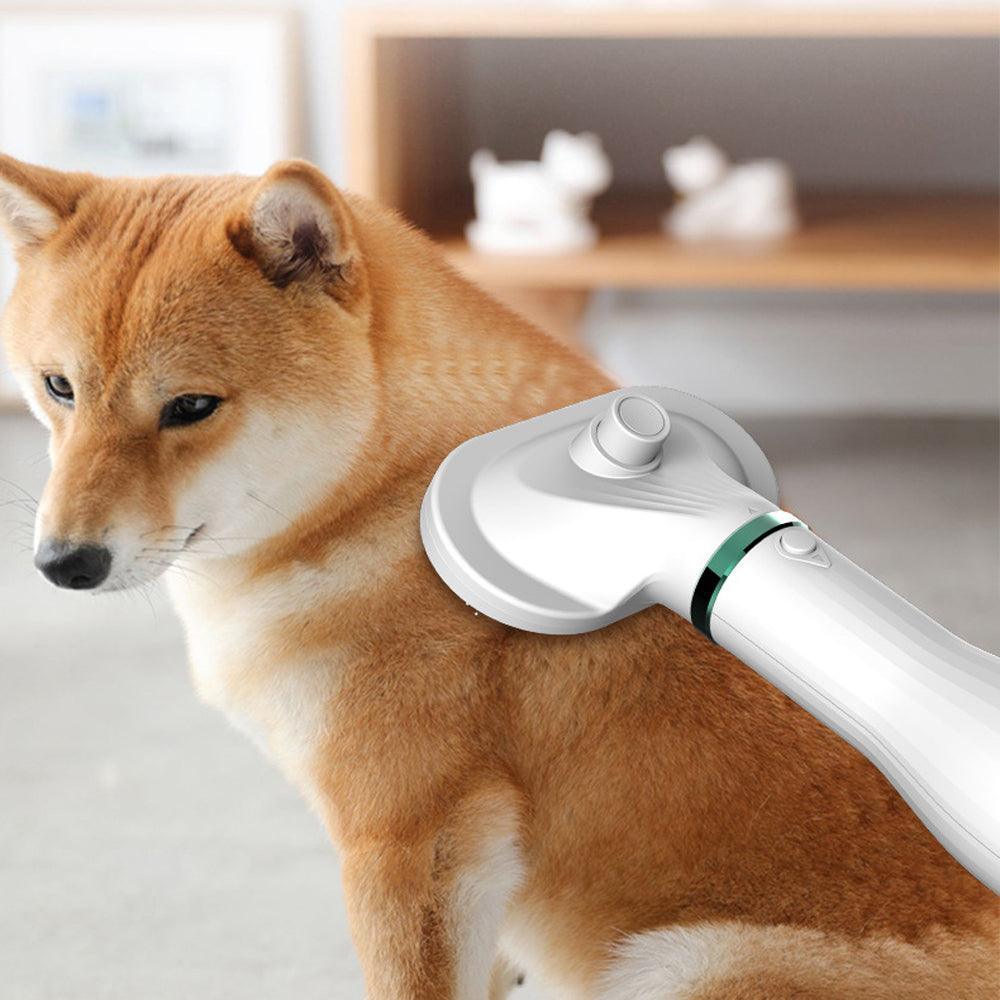 Pet Comb Hair Dryer - VirtuousWares:Global