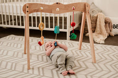 QToys Australia (USA) BABY GYM - VirtuousWares:Global