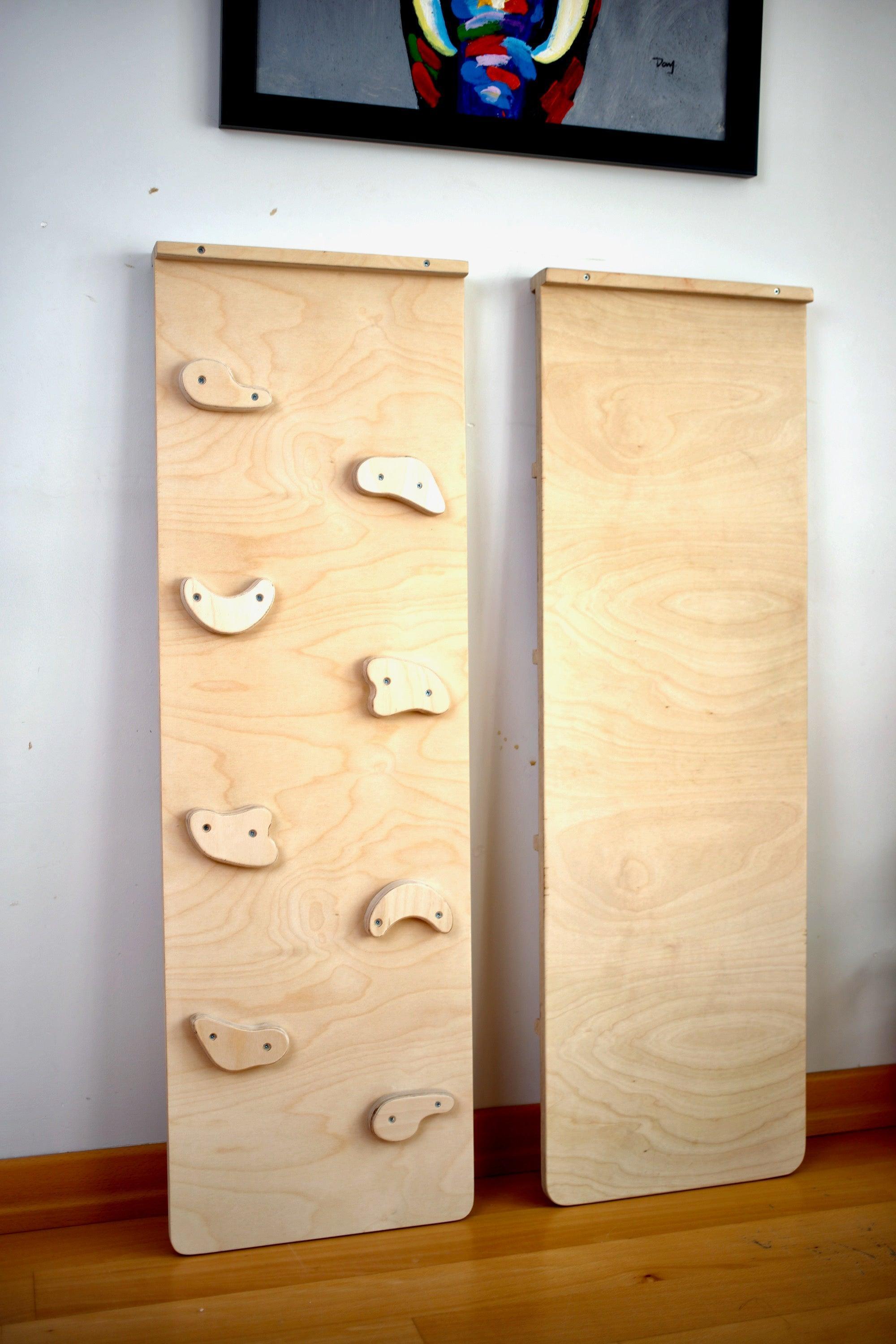 Reversible Rockwall Climbing / Sliding Ramp - VirtuousWares:Global