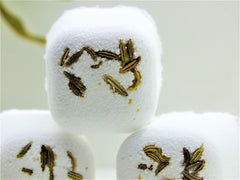 Rose Hip bath bullets, Natural & Naked - VirtuousWares:Global