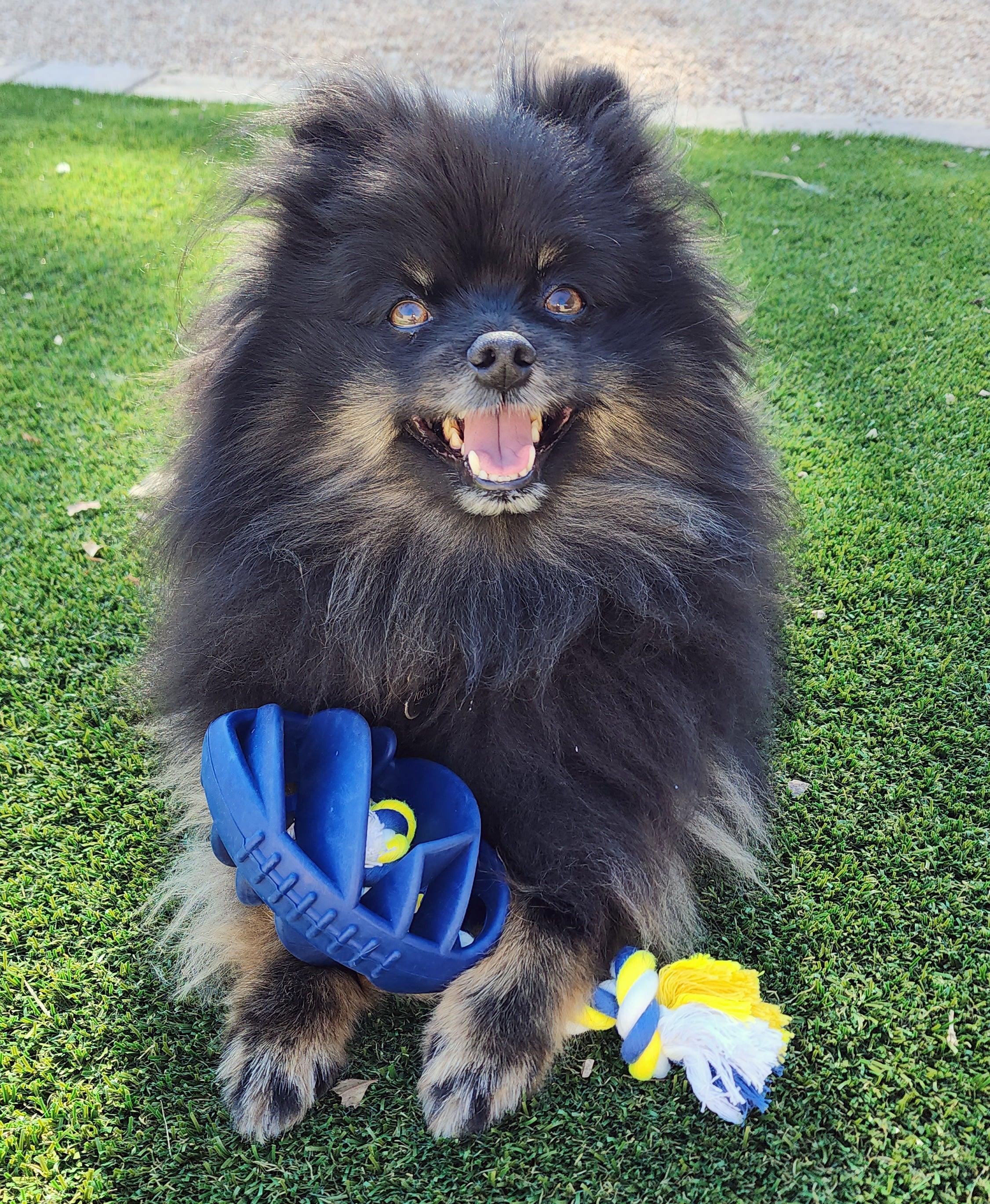 Rubber Football Dog Chew Toy with Tug Rope - VirtuousWares:Global