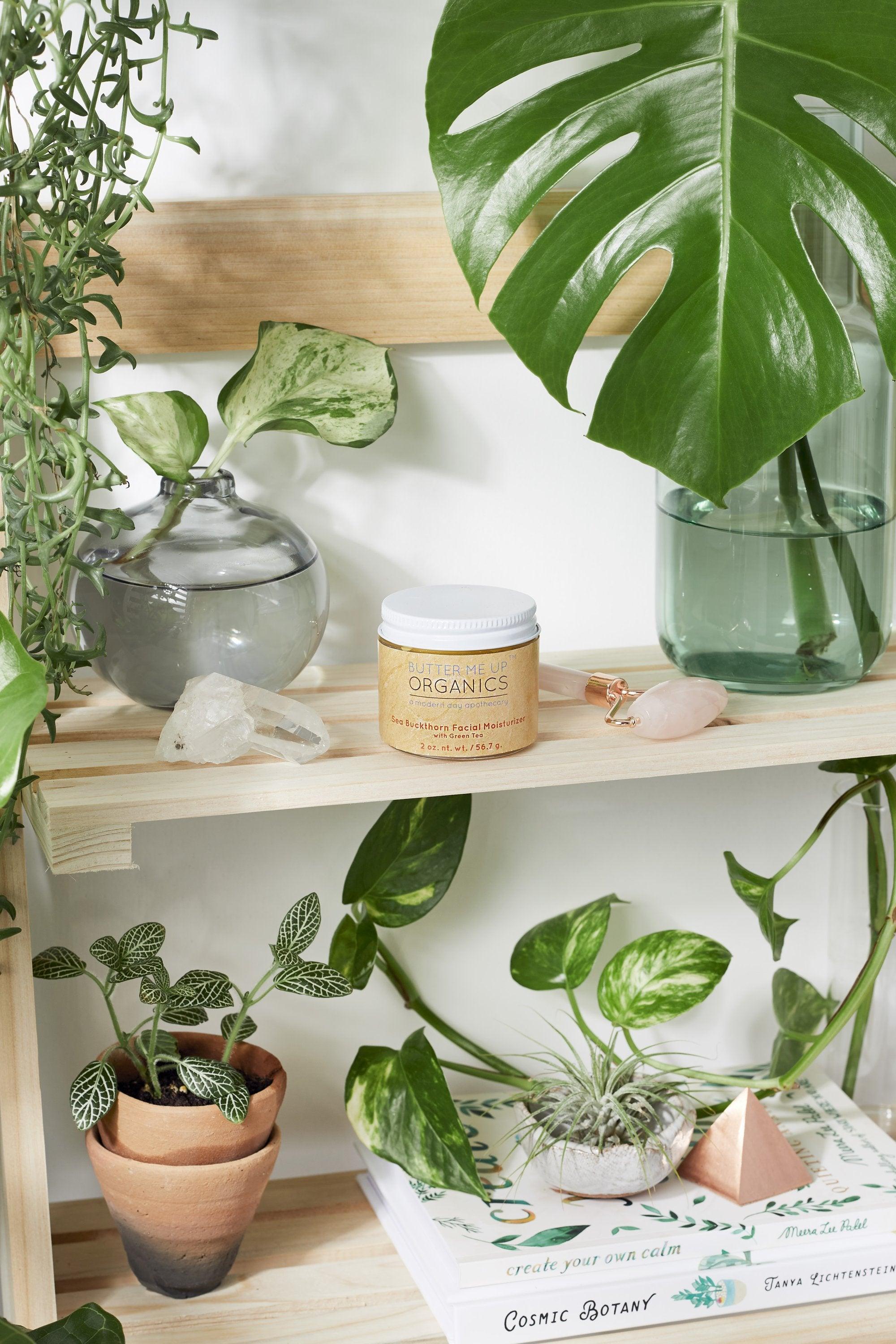 Sea Buckthorn Facial Moisturizer / Organic Face Moisturizer / Facial - VirtuousWares:Global