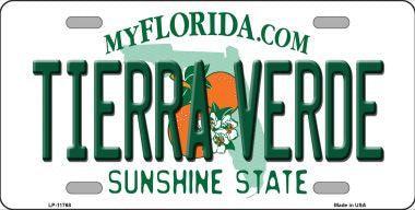 Smart Blonde LP-11768 6 x 12 in. Tierra Verde Florida Novelty License - VirtuousWares:Global
