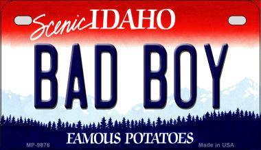 Smart Blonde MP-9876 7 x 4 in. Bad Boy Idaho Novelty Metal Motorcycle - VirtuousWares:Global