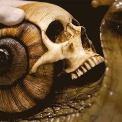 Snail Skull Sculpture Gothic Decoration Snail Statue - VirtuousWares:Global