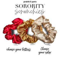 Sorority Scrunchies - VirtuousWares:Global