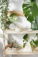 Space Clearing Candle/ Intention Candle / Organic Soy Candle / Candle - VirtuousWares:Global