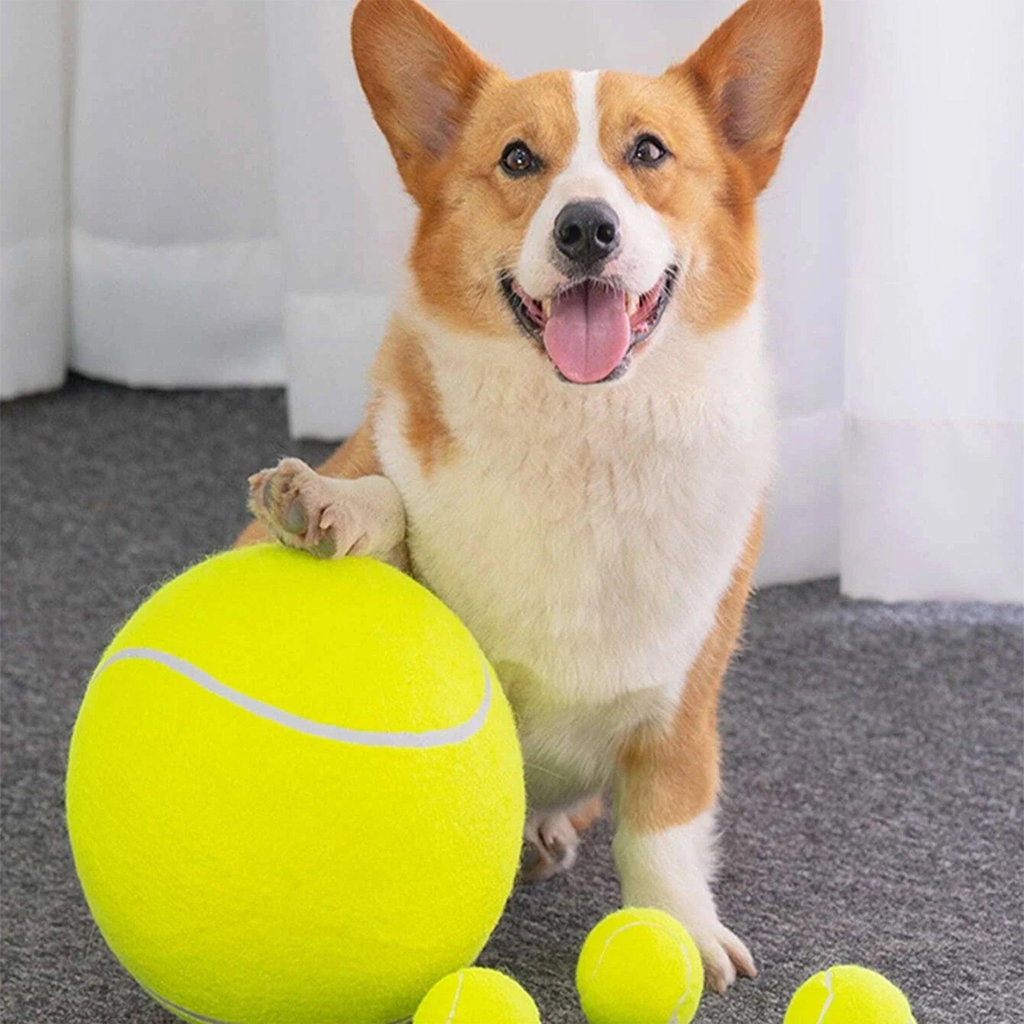 Tail Lights Pet Tennis Ball - 9.5" - VirtuousWares:Global