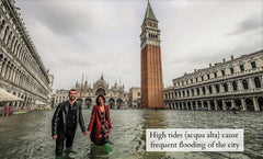 The Venice case - Minimalist lettering - VirtuousWares:Global