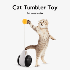 Tumbler Balanced Wheel Swinging Ball Cat Toy - VirtuousWares:Global