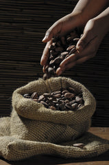 Uganda 'Mount Elgon' Coffee - Green/Unroasted - VirtuousWares:Global