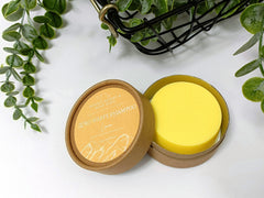 ZERO WASTE | LEMON - VirtuousWares:Global